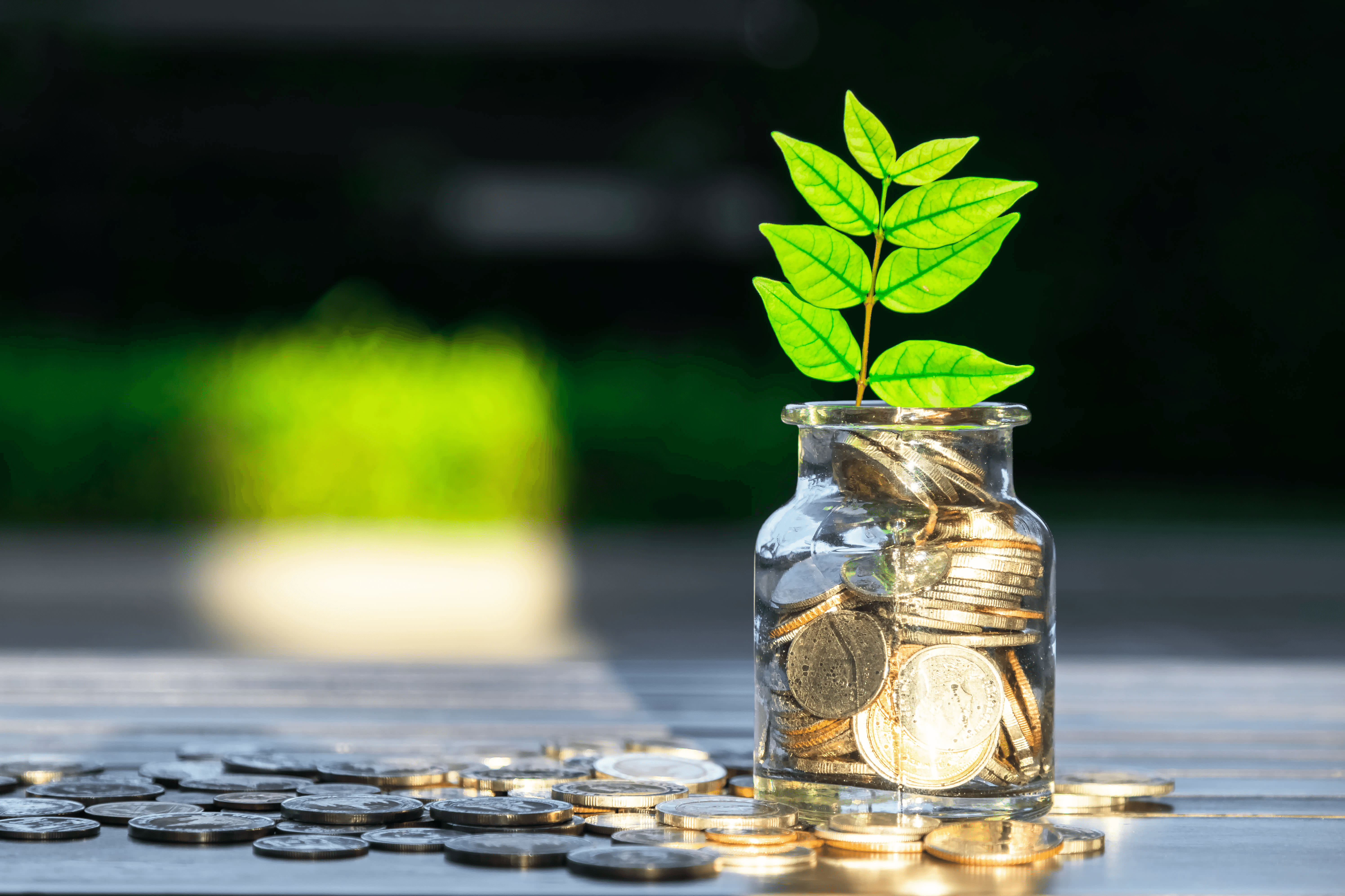 The Rise of the Micro-Investor in Dubai Real Estate