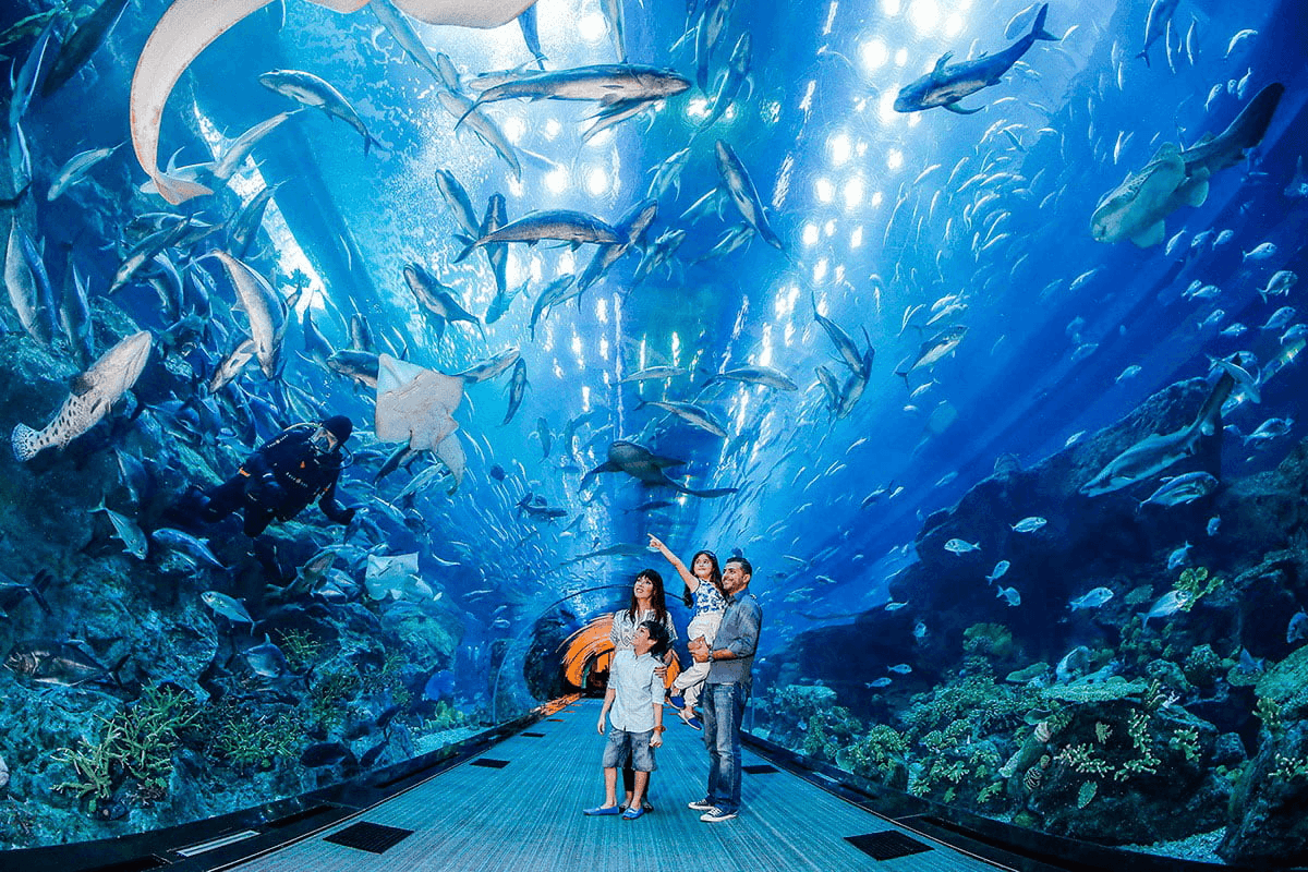 From School Holidays to Eid: Family Activities Year Round